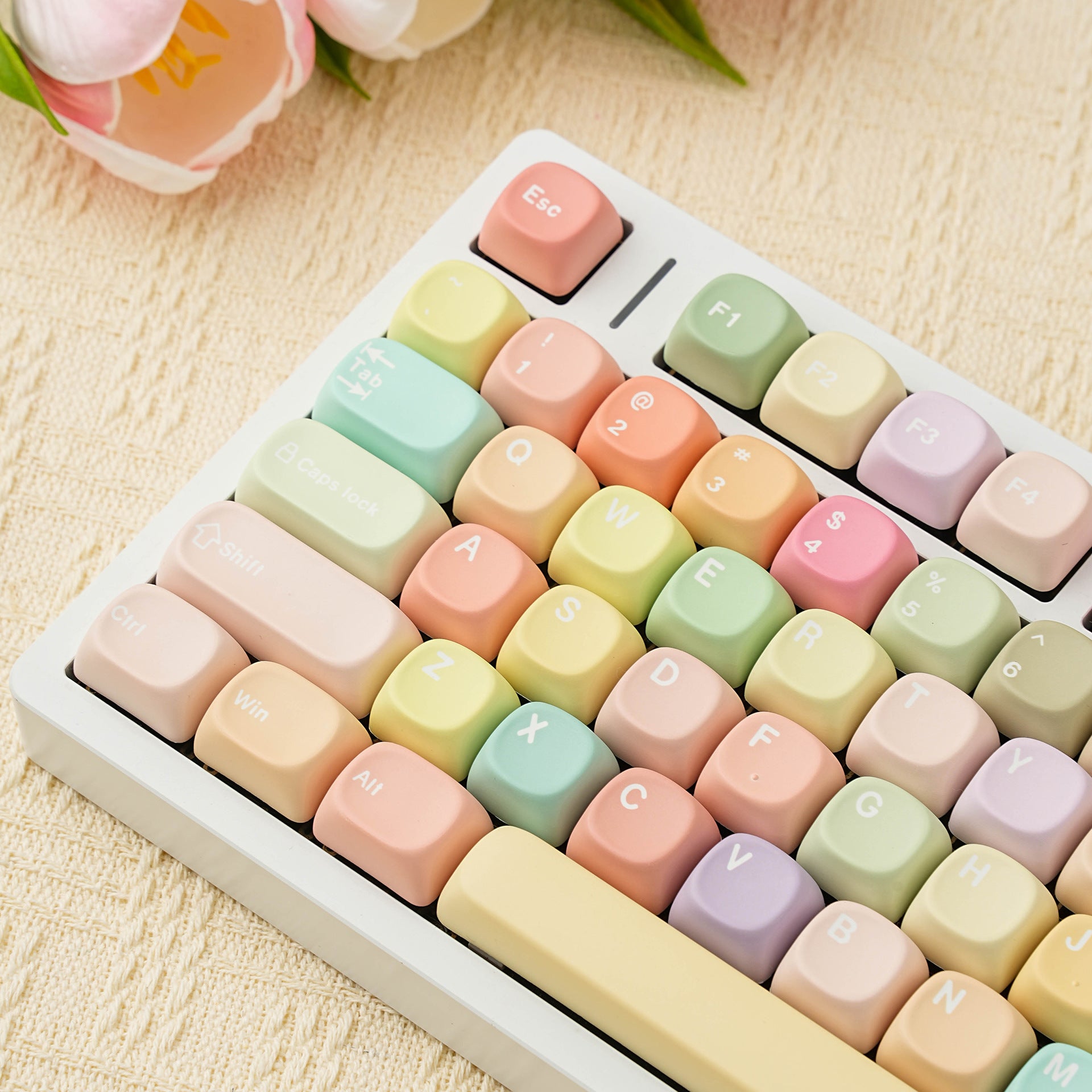Jelly MOA PBT Dye-sub Keycap Set DE (QWERTZ) / FR (AZERTY) / ES /  Compatible ISO & ANSI · Split Spacebar Support
