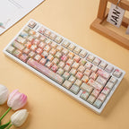 SIMPOCUBIC Garden Shine-through PBT Cherry Keycap Set profile detail
