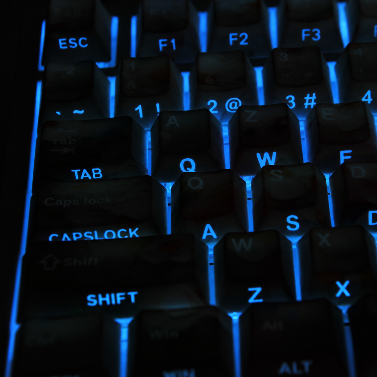 Garden French AZERTY keycaps, full dark side shine through